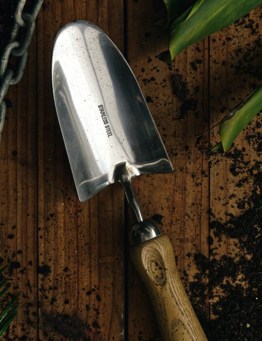 Trowel with soil and plant leaves
