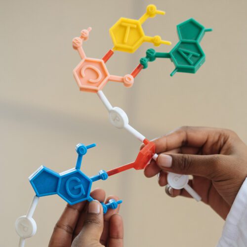 Two hands piecing together plastic pieces representing molecules