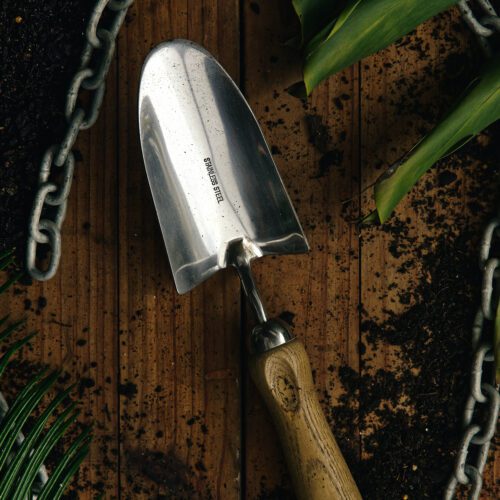 Trowel with soil and plant leaves