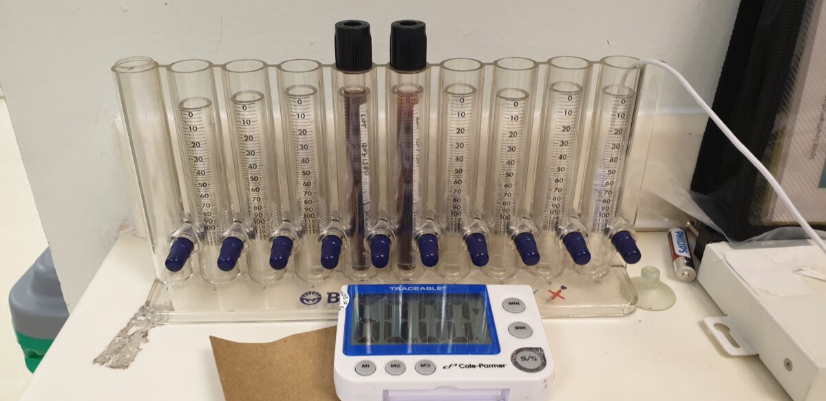 Test tubes containing liquids and a timer